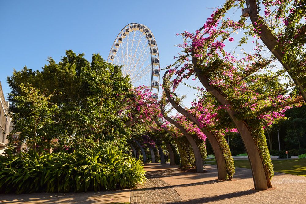 SOUTH BANK PARKLANDS Public BBQ